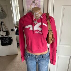 y2k 2000s hollister spellout hot pink embroidered bird hoodie